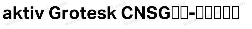 aktiv Grotesk CNSG字体字体转换